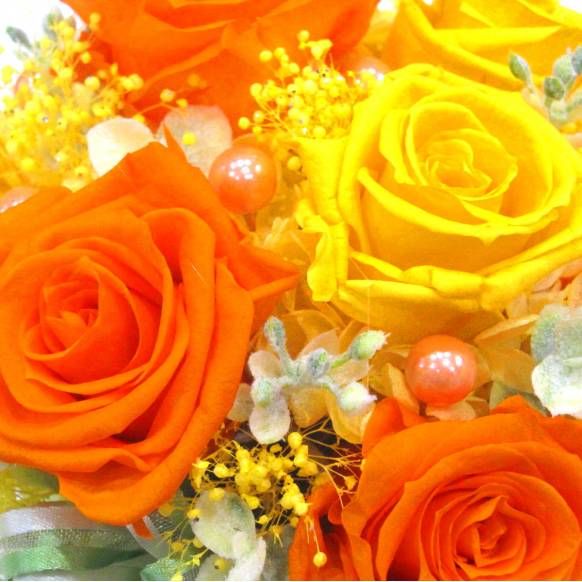一般カテゴリー,《Preserved Flower》Fruity Orange,花樹園