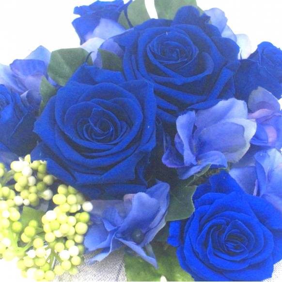 一般カテゴリー,《Preserved Flower》Royal Blue,花樹園