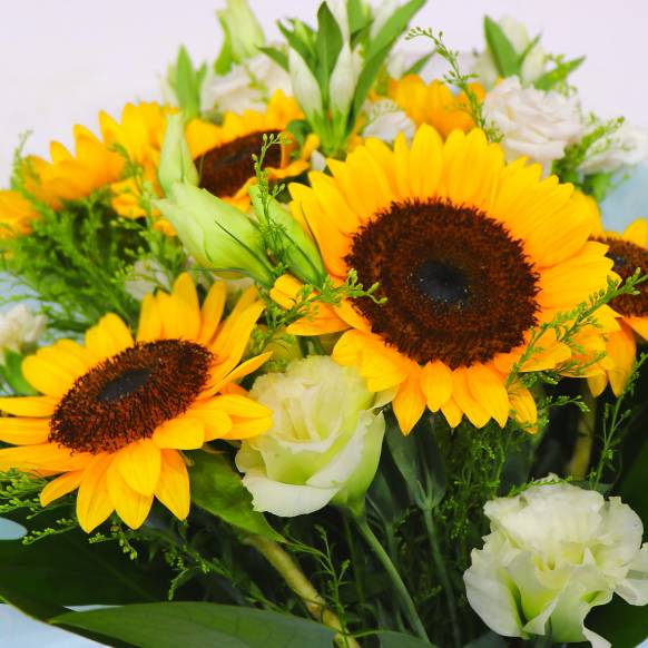 一般カテゴリー,《Funal Bouquet》Sunflower white,花樹園