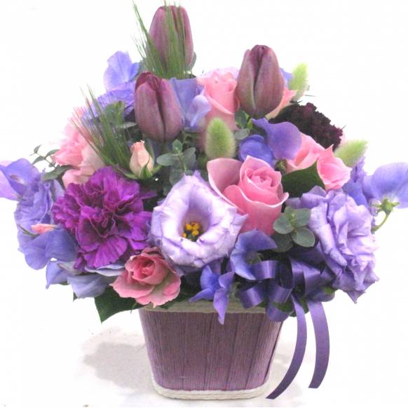 《Flower arrangement》Spring Guizheng Purple一般カテゴリー