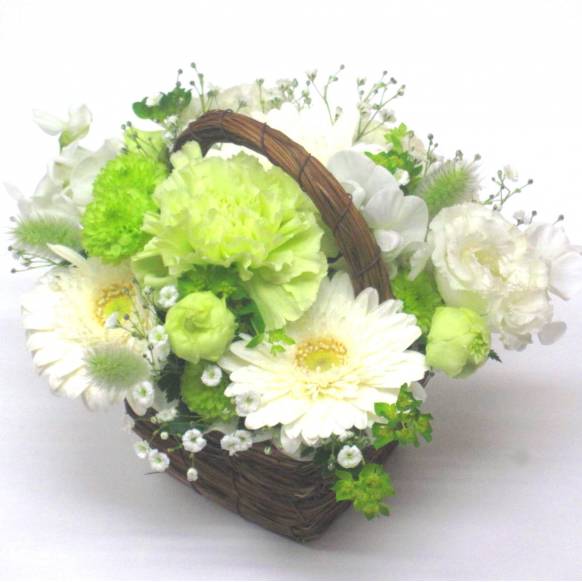 《Flower arrangement》Spring Natural一般カテゴリー