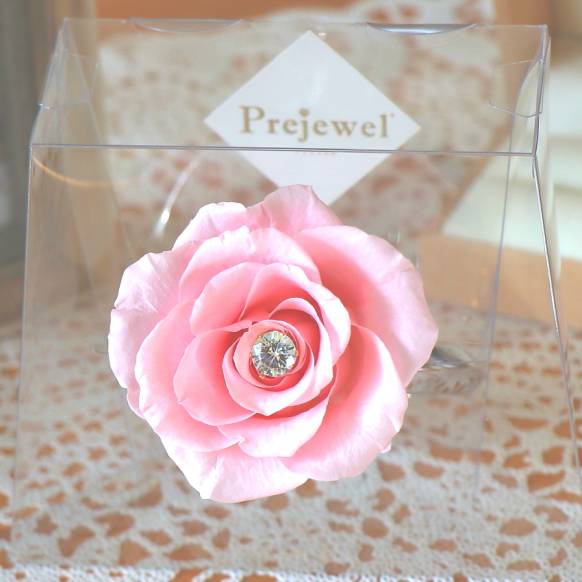 一般カテゴリー,《Preserved Flower》Prejewel(Pink),花樹園