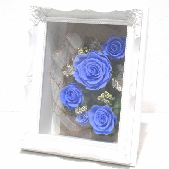 《Preserved Flower》Renaissance Frame M(Blue)一般カテゴリー