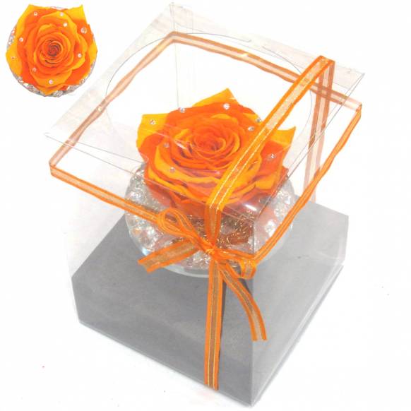 一般カテゴリー,《Preserved Flower》 Crystal Fruity Orange Rose,花樹園