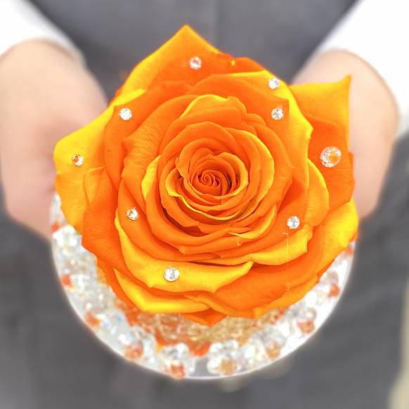 一般カテゴリー,《Preserved Flower》 Crystal Fruity Orange Rose,花樹園