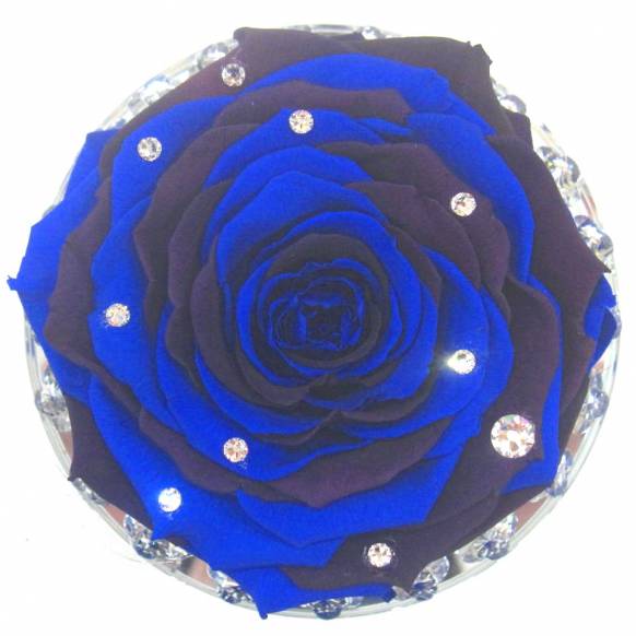 一般カテゴリー,《Preserved Flower》 Crystal Grand Blue Rose,花樹園