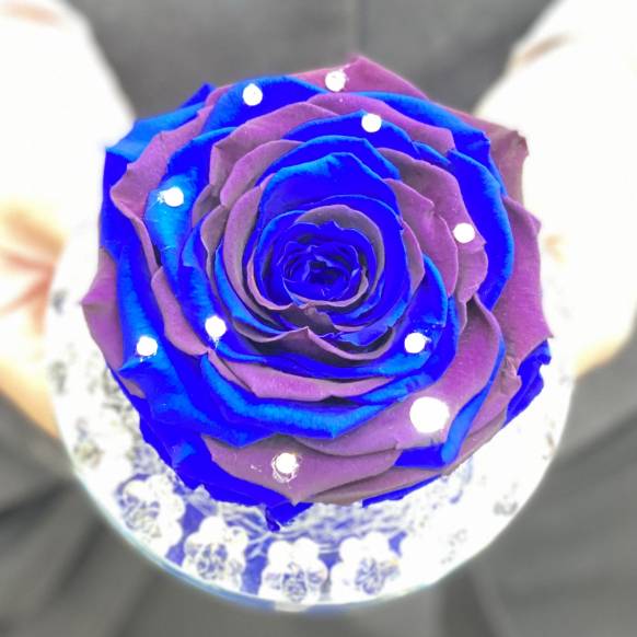 一般カテゴリー,《Preserved Flower》 Crystal Grand Blue Rose,花樹園