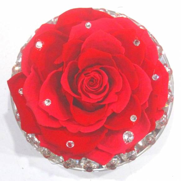 一般カテゴリー,《Preserved Flower》 Crystal Esprit Pink Rose,花樹園