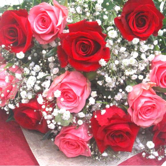 一般カテゴリー,《Bouquet》Pink Rose＆Red Rose 12,花樹園
