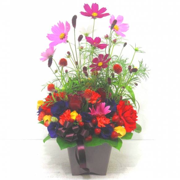 《Flower arrangement》Autumn Flare一般カテゴリー