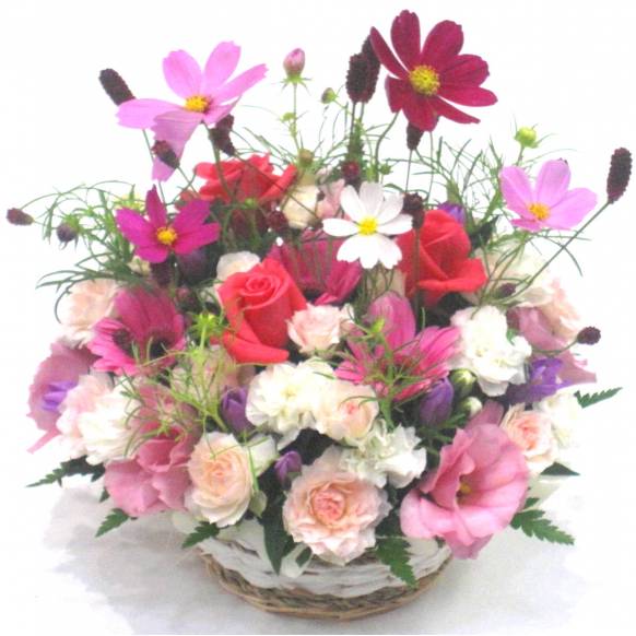 《Flower arrangement》Autumn Enjoy一般カテゴリー