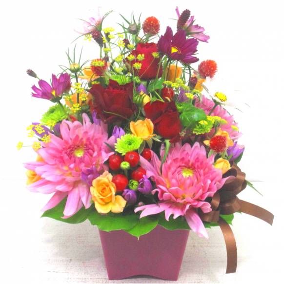《Flower arrangement》Autumn Anniversary 一般カテゴリー