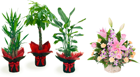 お申込み代金のお預かりで年間装飾花サービスを提供。
