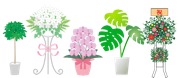 統一感あるお花を提供可能です。