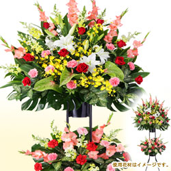 お祝いのお花を贈る相場 ご予算 とタイミング ひる12時までなら 本日中に お祝いに最適な胡蝶蘭 コチョウラン をお届けします ビジネス花 キューピット 公式サイト