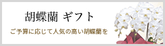 胡蝶蘭おまかせ