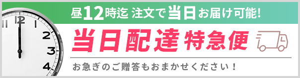 当日配達特急便