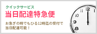 お急ぎでも安心の【当日配達特急便】サービス