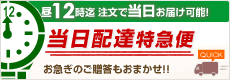 当日配達特急便