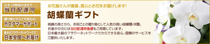 花鉢(胡蝶蘭・洋蘭) クイック(法人)