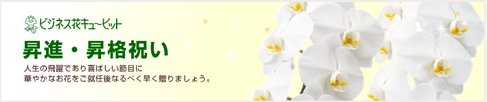 ご昇進・ご栄転(法人)
