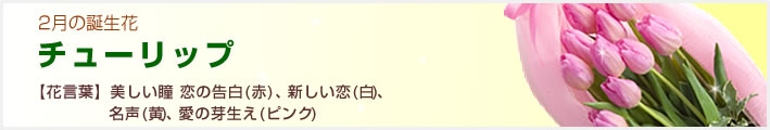 誕生花 2月(チューリップ等)(法人)