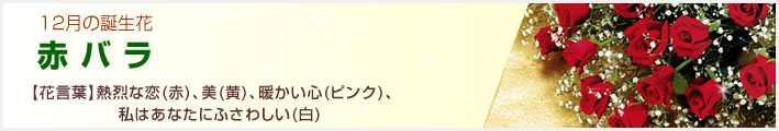 誕生花 12月(赤バラ等)(法人)