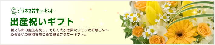 ご出産祝い(法人)
