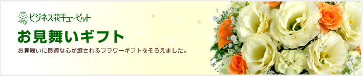お見舞い(法人)