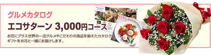 グルメカタログ3000円(法人)