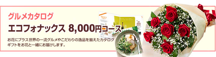 カタログギフト エコグルメ・エコフォナックス(法人)