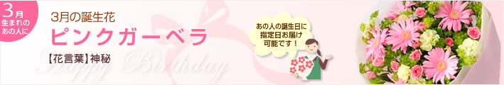 誕生花 3月(ピンクガーベラ等)(法人)