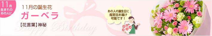 11月の誕生花(ガーベラ等)(法人)