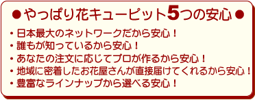 やっぱり安心花キューピット
