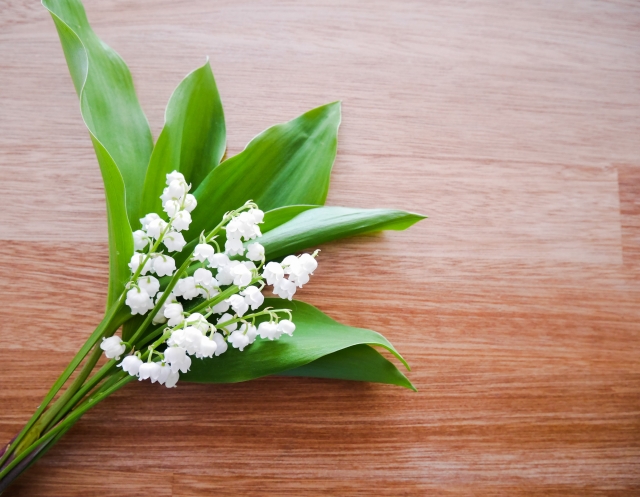 5月1日は すずらんの日 大切な人へすずらんの花を贈る 花だより