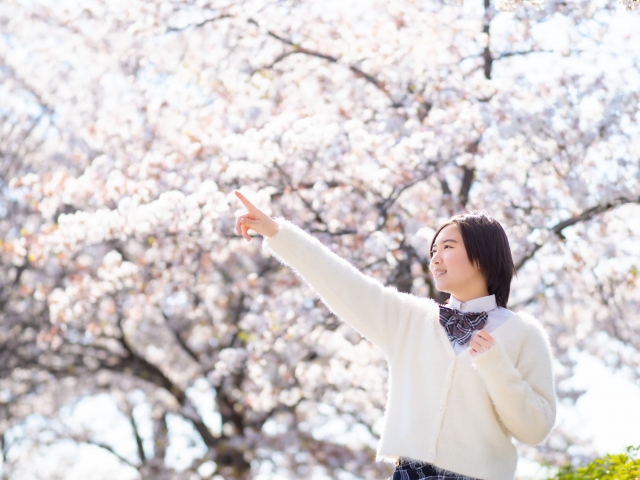 入学のお祝いに贈る花言葉 入学式におすすめの花 花だより 入学のお祝いに贈る花言葉 入学式におすすめの花 花だより
