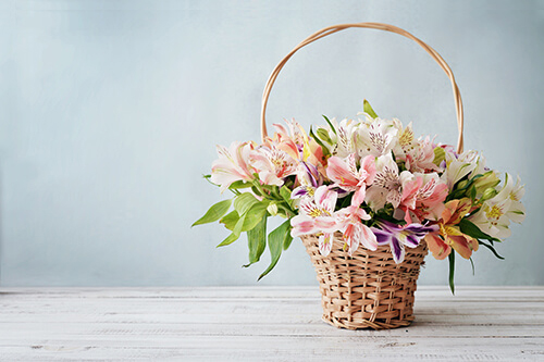 6月の誕生花 ユリ などの花言葉や育て方 花や花束の宅配 フラワーギフト通販なら花キューピット 贈り物 プレゼントで花を贈ろう