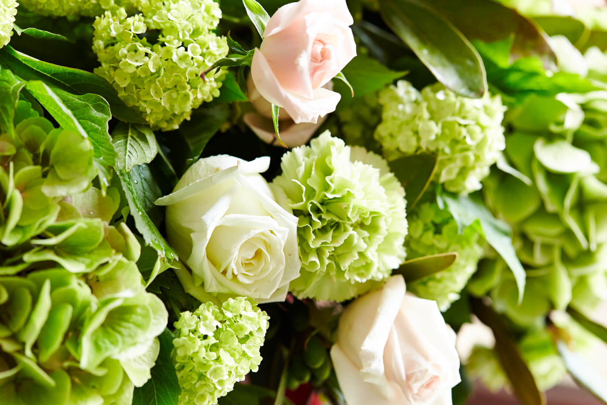 結婚記念日にふさわしい誕生花とすてきな花言葉