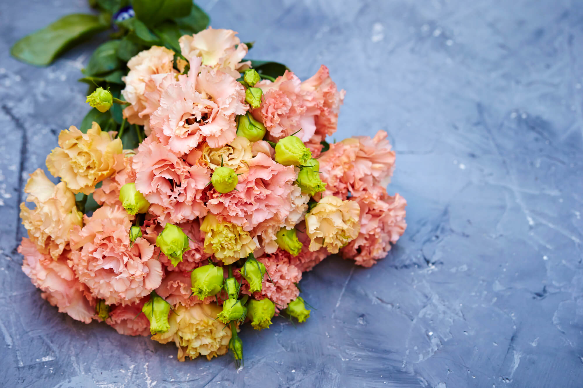 5月の誕生花 ピンクバラ などの花言葉や育て方 花や花束の宅配 フラワーギフト通販なら花キューピット 贈り物 プレゼントで花を贈ろう