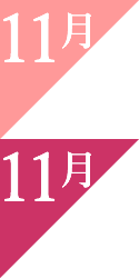 11月の誕生花ギフト ｜ガーベラ