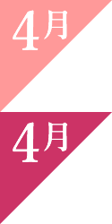 4月の誕生花ギフト｜アルストロメリア