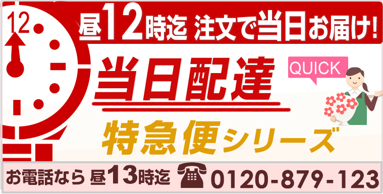 【当日配達特急便】 朝10時までにご注文の花をその日にお届けします