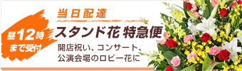 花キューピット 当日配送 昼12時までの注文で日本全国へ直接配達 花キューピット当日配達 花キューピット公式サイト