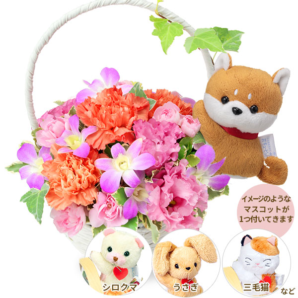 オリジナルのお花お作りします❤️ 誕生日  お見舞い などのフラワーギフトに！ 花 ギフト 誕生日プレゼント 誕生日 開店祝い 新築祝い お花の