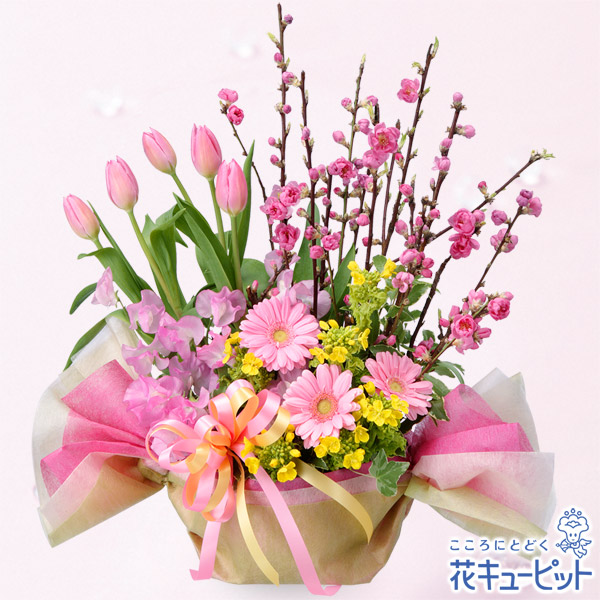 ひな祭りのプレゼント特集 花キューピット ひな祭りのプレゼント特集の花 フラワー通販なら花キューピット ひな祭りのプレゼント特集 花キューピット ひな祭りのプレゼント特集の花 フラワー通販なら花キューピット