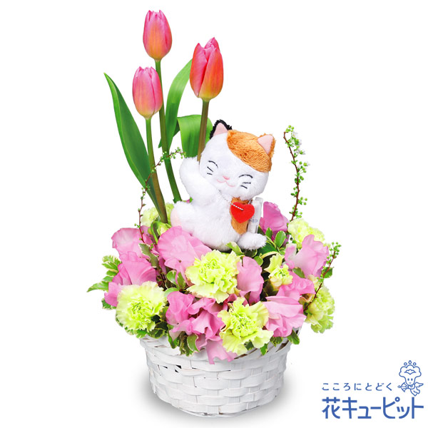 美しい花の画像 100 Epic Bestチューリップ 誕生 花 美しい花の画像 100 Epic Bestチューリップ 誕生 花