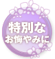 ご予算で贈る・3万円以上の胡蝶蘭
