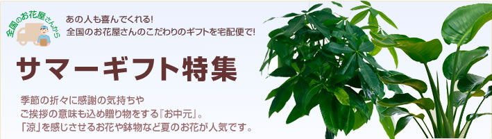 サマーギフト特集(宅配) サマーギフト特集(宅配)