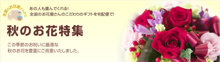 秋のお花特集(宅配) 秋のお花特集(宅配)