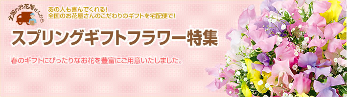 スプリングギフトフラワー特集(宅配) スプリングギフトフラワー特集(宅配)